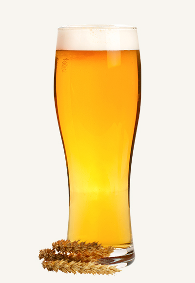 Beer in Glass