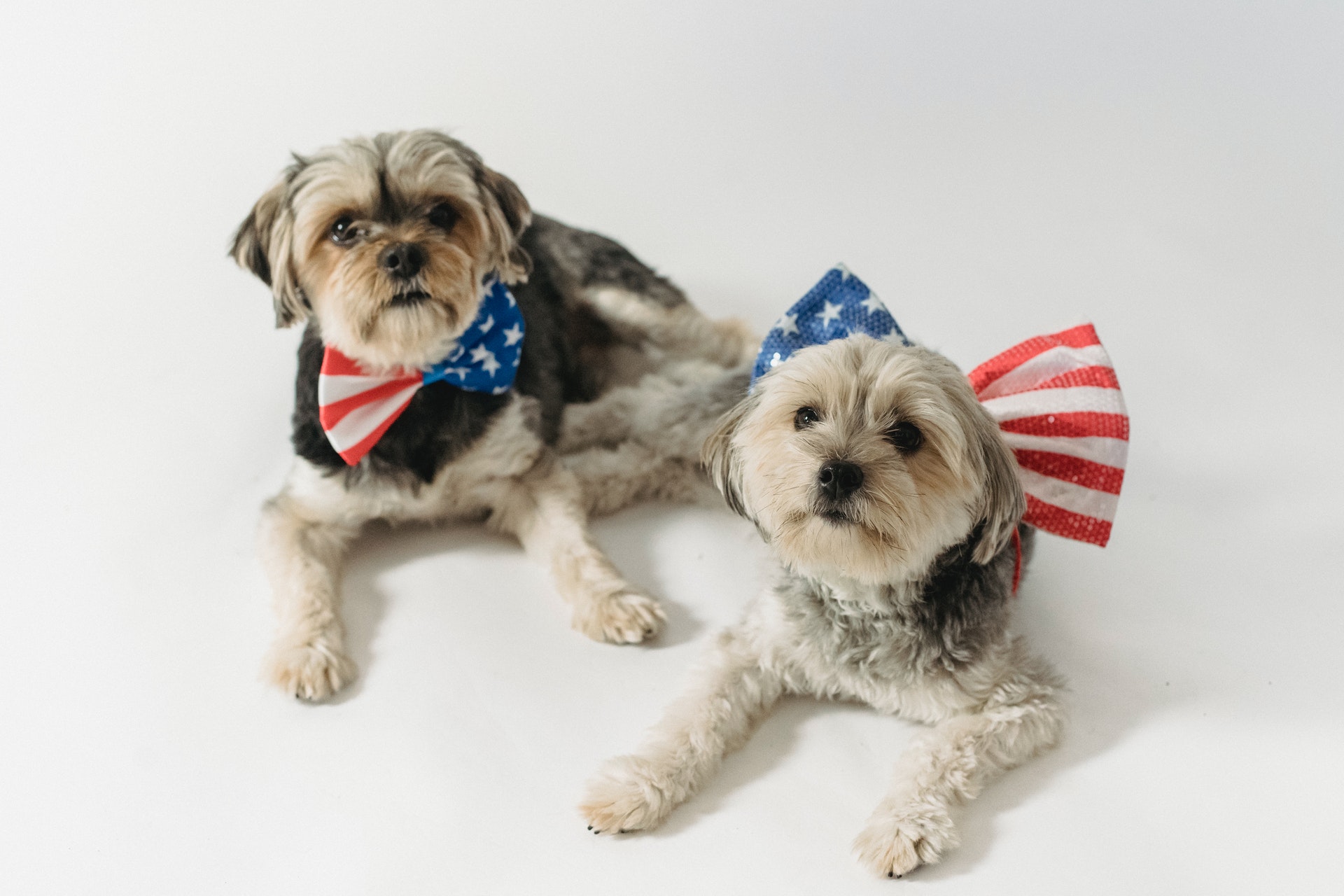 Ideas for a Happy Memorial Day Memorial Day party