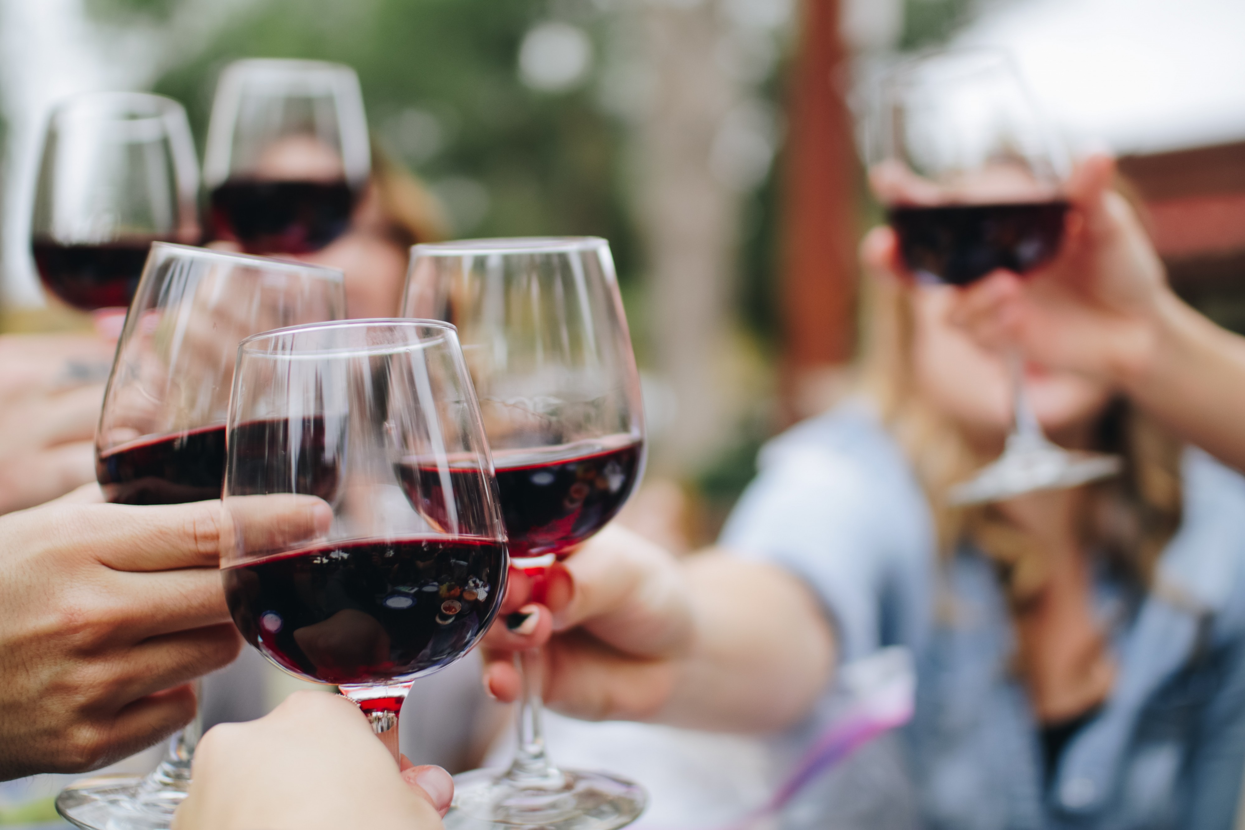 types of pinot noir, pinot noir, zipps liquor, liquor store, liquor store near me