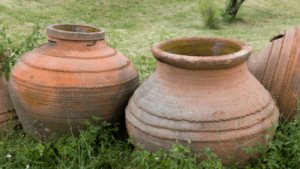 The Complete History of Wine history of wine