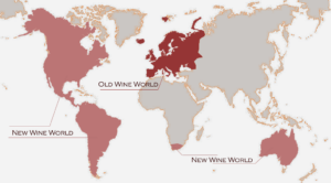 Wine Wednesday: Wine Region 101 Wine World