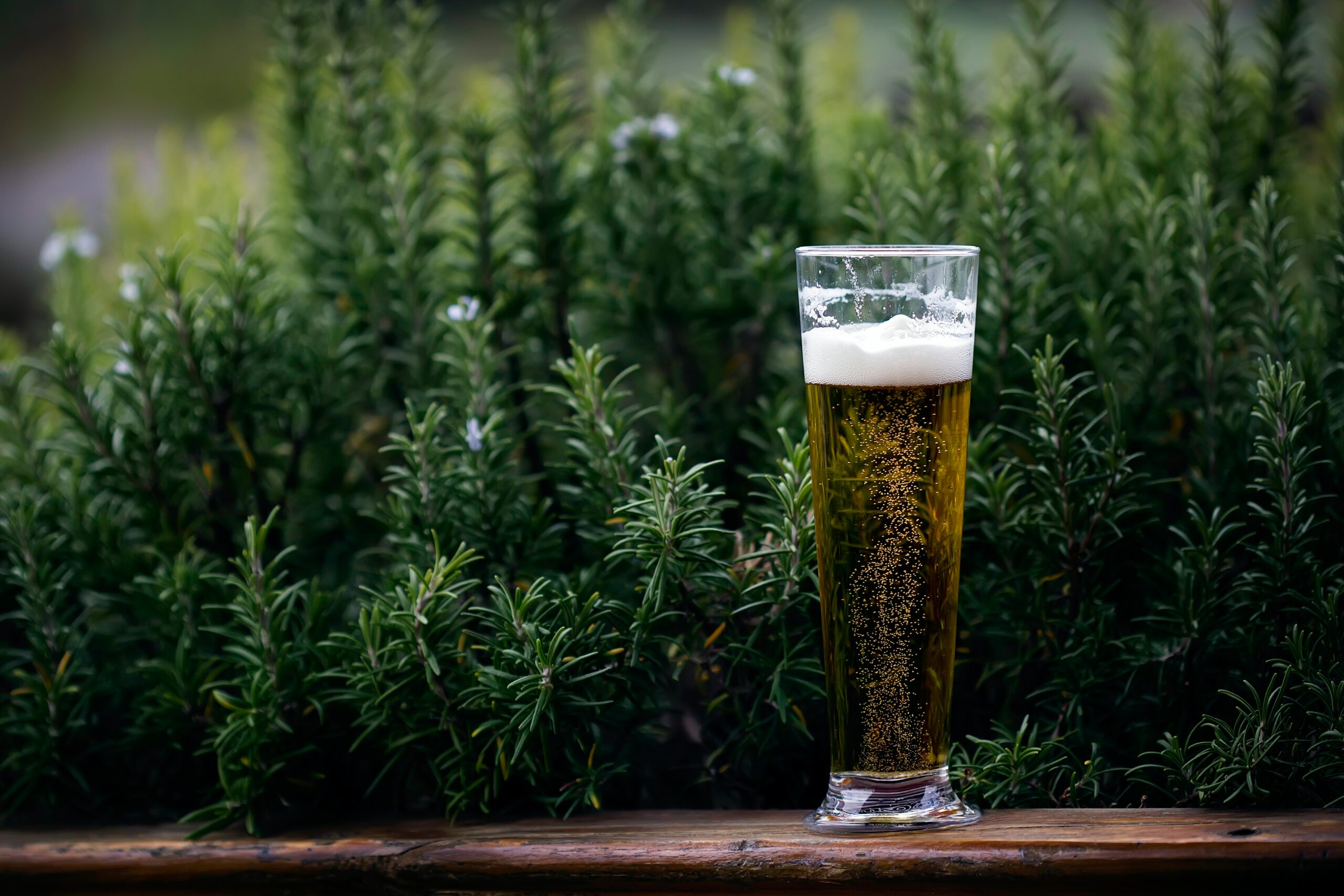 When Does Beer Expire? does beer expire