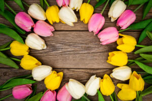 Popular Spring Events in Dallas Dallas Blooms